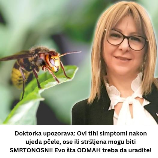 Doktorka upozorava: Ovi tihi simptomi nakon ujeda pčele, ose ili stršljena mogu biti SMRTONOSNI! Evo šta ODMAH treba da uradite! - featured image