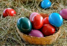 Ovo cveće obavezno treba uneti u kuću pre Vaskrsa: Veruje se da donosi sreću i napredak Ovo cveće obavezno treba uneti u kuću pre Vaskrsa: Veruje se da donosi sreću i napredak - featured image