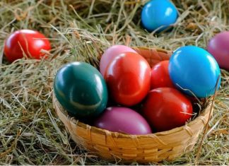 Ovo cveće obavezno treba uneti u kuću pre Vaskrsa: Veruje se da donosi sreću i napredak Ovo cveće obavezno treba uneti u kuću pre Vaskrsa: Veruje se da donosi sreću i napredak - featured image