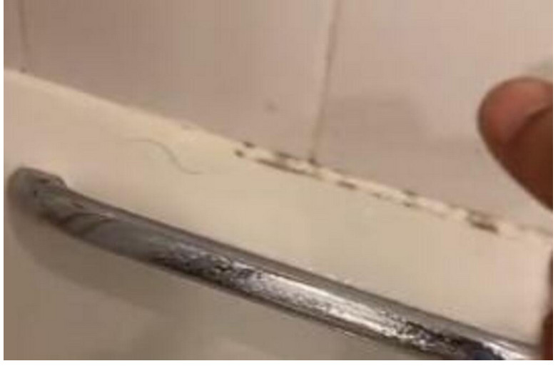 Za 10 minuta fugne će biti kao nove: Mrlje nestaju kao magijom uz 1 sastojak koji svi imamo u kući - featured image Za 10 minuta fugne će biti kao nove: Mrlje nestaju kao magijom uz 1 sastojak koji svi imamo u kući - featured image
